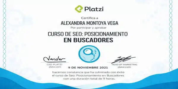 SEO POSICIONAMIENTO EN BUSCADORES