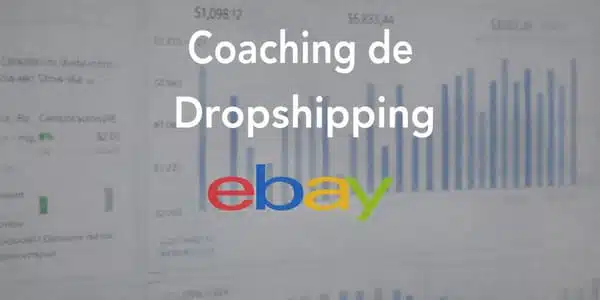 Dropshipping Ebay