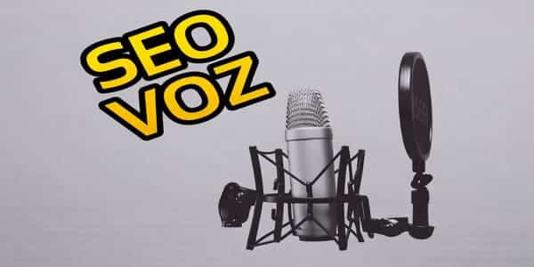 Seo Por Voz