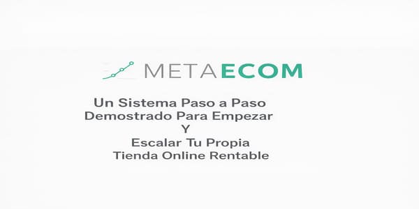 Meta Ecom