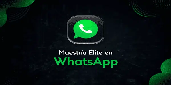 Maestria Elite WhatsApp